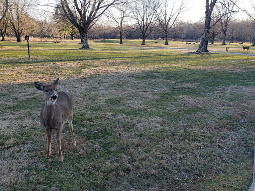 Public Golf Course «Algonkian Golf Course», reviews and photos, 47001 Fairway Dr, Sterling, VA 20165, USA