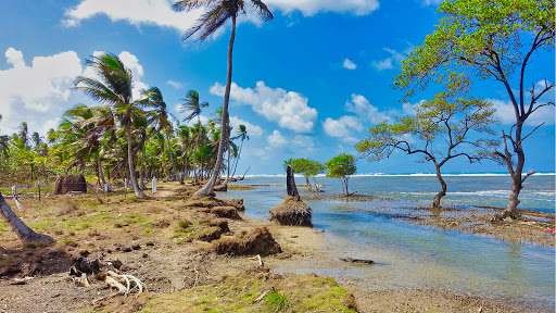 Panama Caribe, El Cañito de Viento Frio