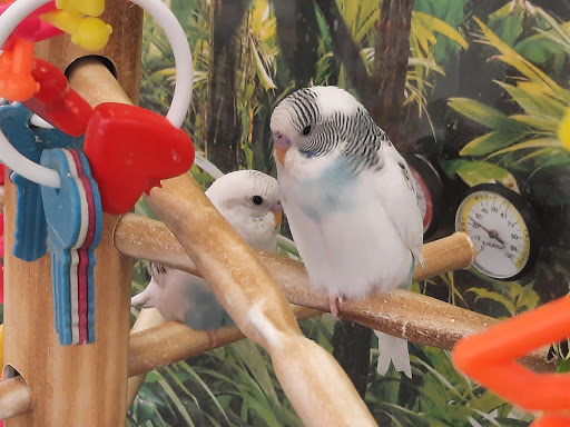 Pet Supply Store «Petco Animal Supplies», reviews and photos, 2080 Market Dr, Stillwater, MN 55082, USA