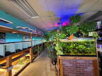 Infinite Aquarium - Photo 9 - Car repair in Santa Clara, CA, San Jose