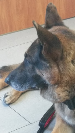 Covina Animal Hospital image