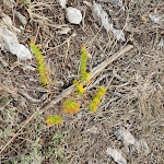 Photo n°2 de l'avis de Salvatore.e fait le 04/10/2021 à 17:59 sur le  Ristorante Zi Peppe à Vico Equense