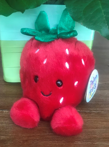 Florist «Park Florist», reviews and photos, 6921 Laurel Ave, Takoma Park, MD 20912, USA