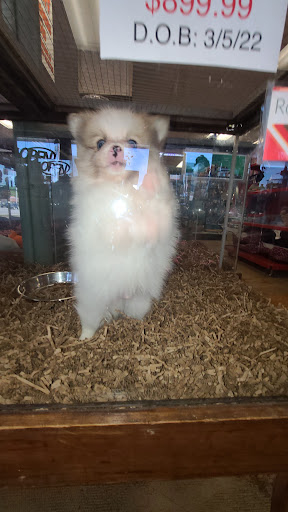 Pet Store «Hendersonville Pet Shop», reviews and photos, 1400 Spartanburg Hwy, Hendersonville, NC 28792, USA