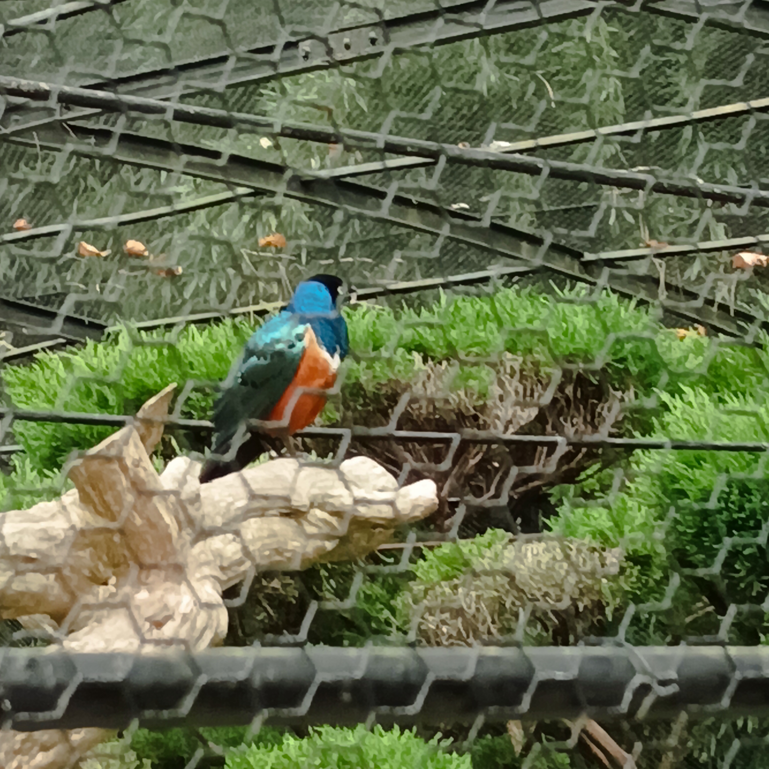 Photo n° 5 de l'avis de Carole.l fait le 17/09/2023 à 12:43