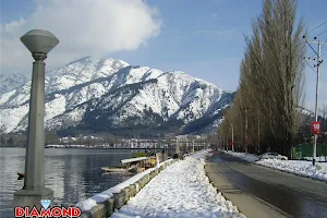 DIAMOND TOURS & TRAVELS J&K image