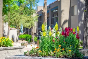 Rio Seco Apartments image