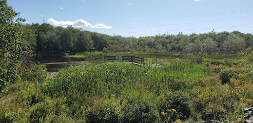 Little Belchers Pond Park