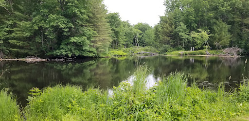 Golf Club «Overlook Golf Club», reviews and photos, 5 Overlook Dr, Hollis, NH 03049, USA