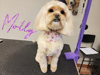 Salon DeOhGee - Photo 1 - Car repair in Northville Charter Township, MI, South Lyon