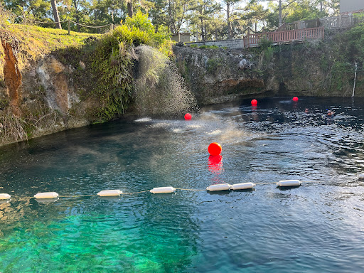 Dive Shop «Depth Perception Dive Center LLC», reviews and photos, 4015 W Gandy Blvd, Tampa, FL 33611, USA