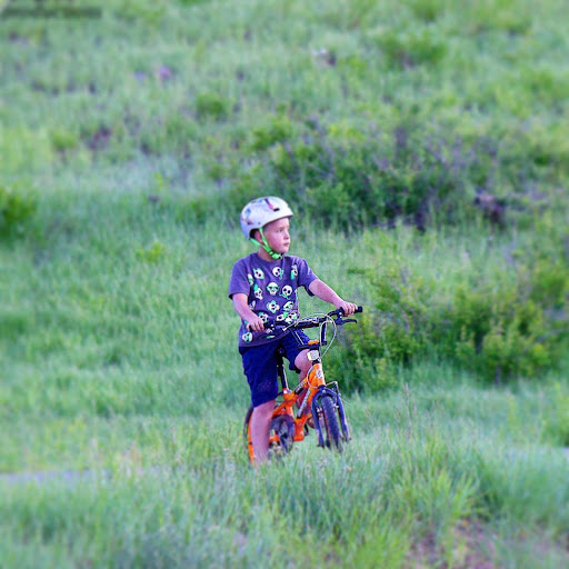 Bicycle Repair Shop «Mad Dog Cycles Orem», reviews and photos, 350 Orem Blvd, Orem, UT 84057, USA