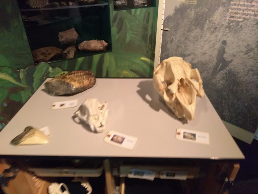 Historical Society «Orange County Regional History Center», reviews and photos, 65 E Central Blvd, Orlando, FL 32801, USA