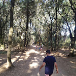 Photo n°4 de l'avis de Cristina.o fait le 15/08/2021 à 12:49 sur le  Lago Verde à San Vincenzo