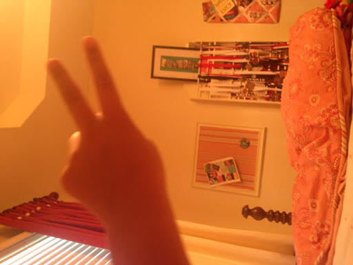 Gymnastics Center «1st Class Gymnastics», reviews and photos, 451 Defense Hwy, Annapolis, MD 21401, USA