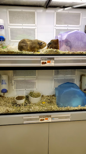 Pet Supply Store «Petco Animal Supplies», reviews and photos, 10 Sylvan St, Peabody, MA 01960, USA