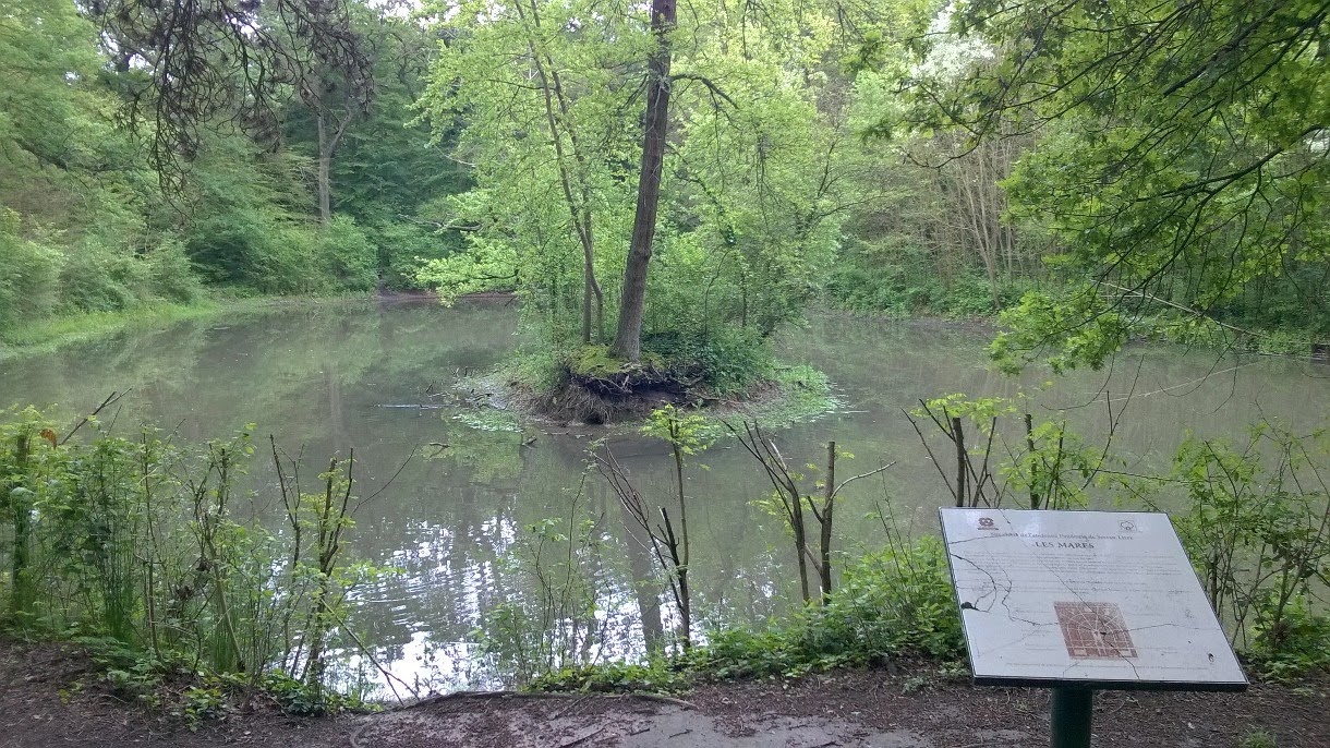 Photo n° 2 de l'avis de Alain.a fait le 24/04/2018 à 14:55