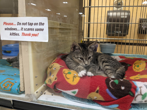 Pet Supply Store «PetSmart», reviews and photos, 150 Bleachery Blvd, Asheville, NC 28805, USA