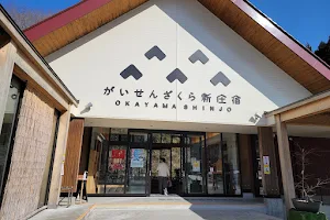 Roadside Station Gaisen Sakura Shinjojuku Village Dining Hall image