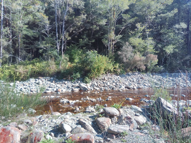 Slab Hut Creek Camping Area - Reefton