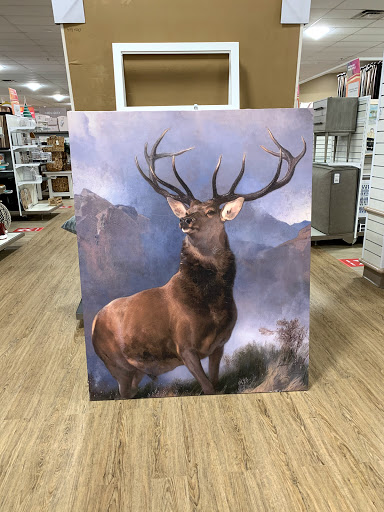 Department Store «HomeGoods», reviews and photos, 43 Woodbridge Center Dr, Woodbridge, NJ 07095, USA