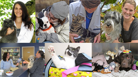 4020 NE 55th St, Seattle, WA 98105, USA