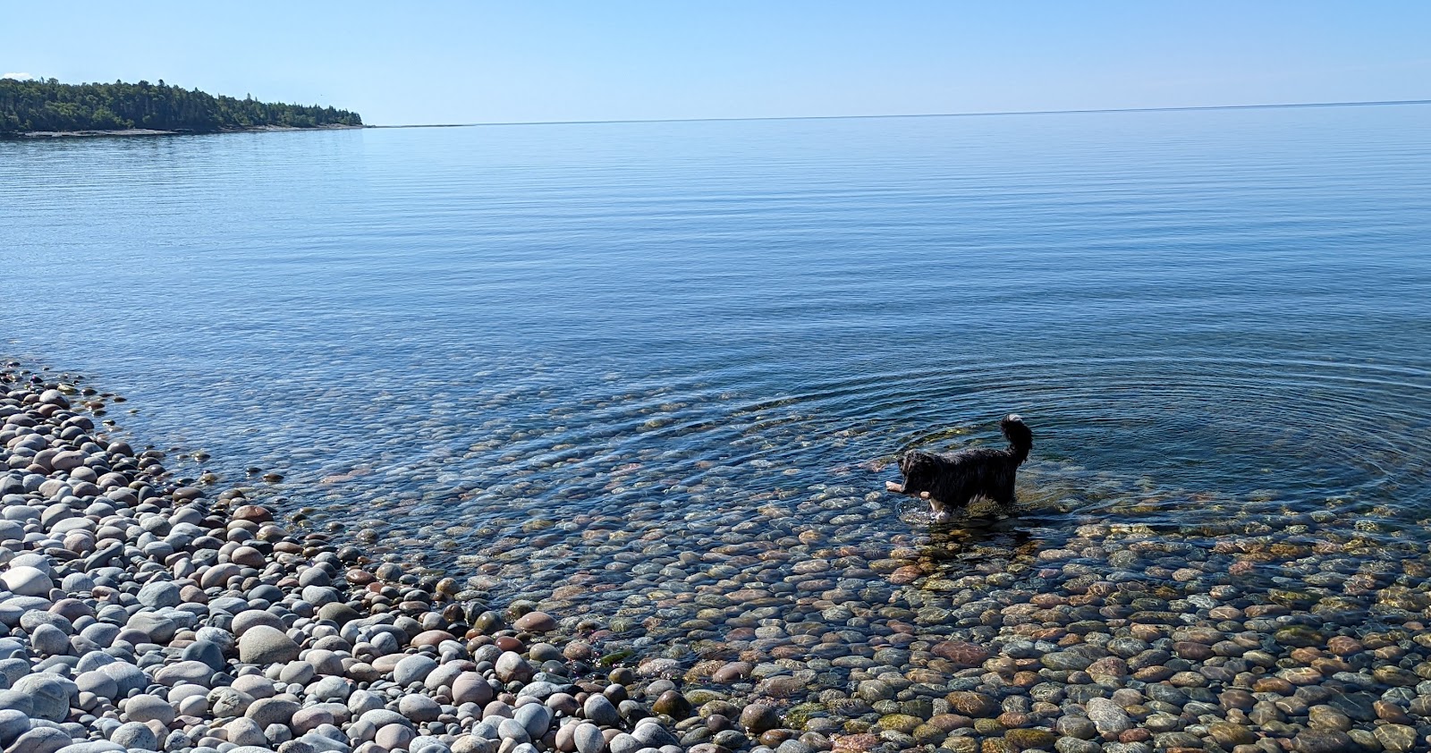 Valokuva Pebble beachista. puhtaustasolla korkea