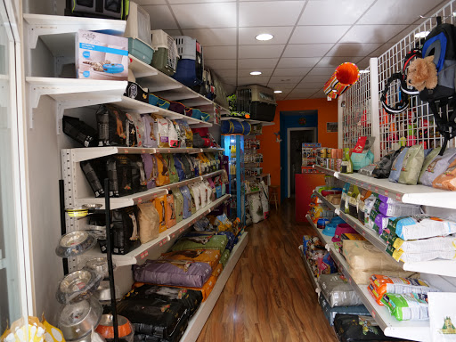 OTTO mascotas - San Cristóbal de La Laguna