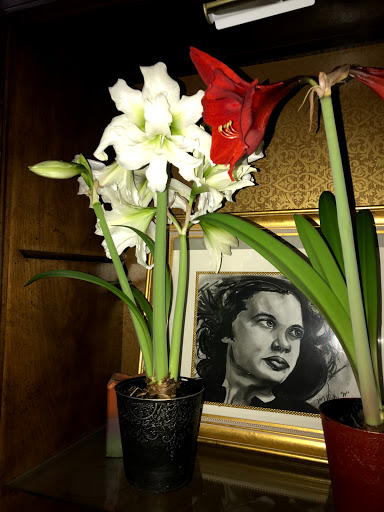 Park «Wildflower Park», reviews and photos, 980 Nolte Dr N, Colorado Springs, CO 80916, USA