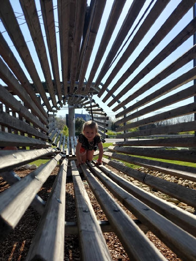 Amusement Center «SOAR Adventure Tower», reviews and photos, 3794 Carothers Pkwy, Franklin, TN 37067, USA