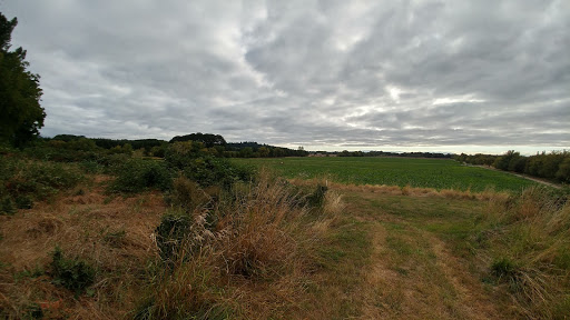 Event Venue «Cornelius Orchard and Farm», reviews and photos, 3375 SW 53rd St, Corvallis, OR 97333, USA