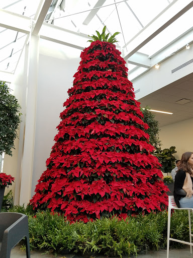 Botanical Garden «Franklin Park Conservatory and Botanical Gardens», reviews and photos, 1777 E Broad St, Columbus, OH 43203, USA