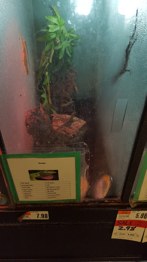 Pet Supply Store «Pet Supplies Plus», reviews and photos, 5161 Gull Rd, Kalamazoo, MI 49048, USA