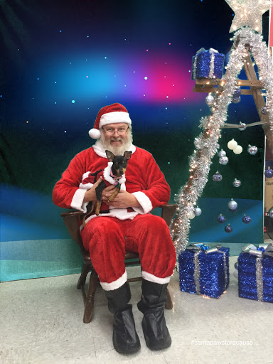 Pet Supply Store «Petco Animal Supplies», reviews and photos, 1221 Water Tower Pl, Arnold, MO 63010, USA