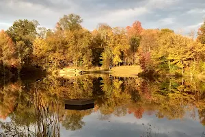 Shadow Lake Picnic Area image