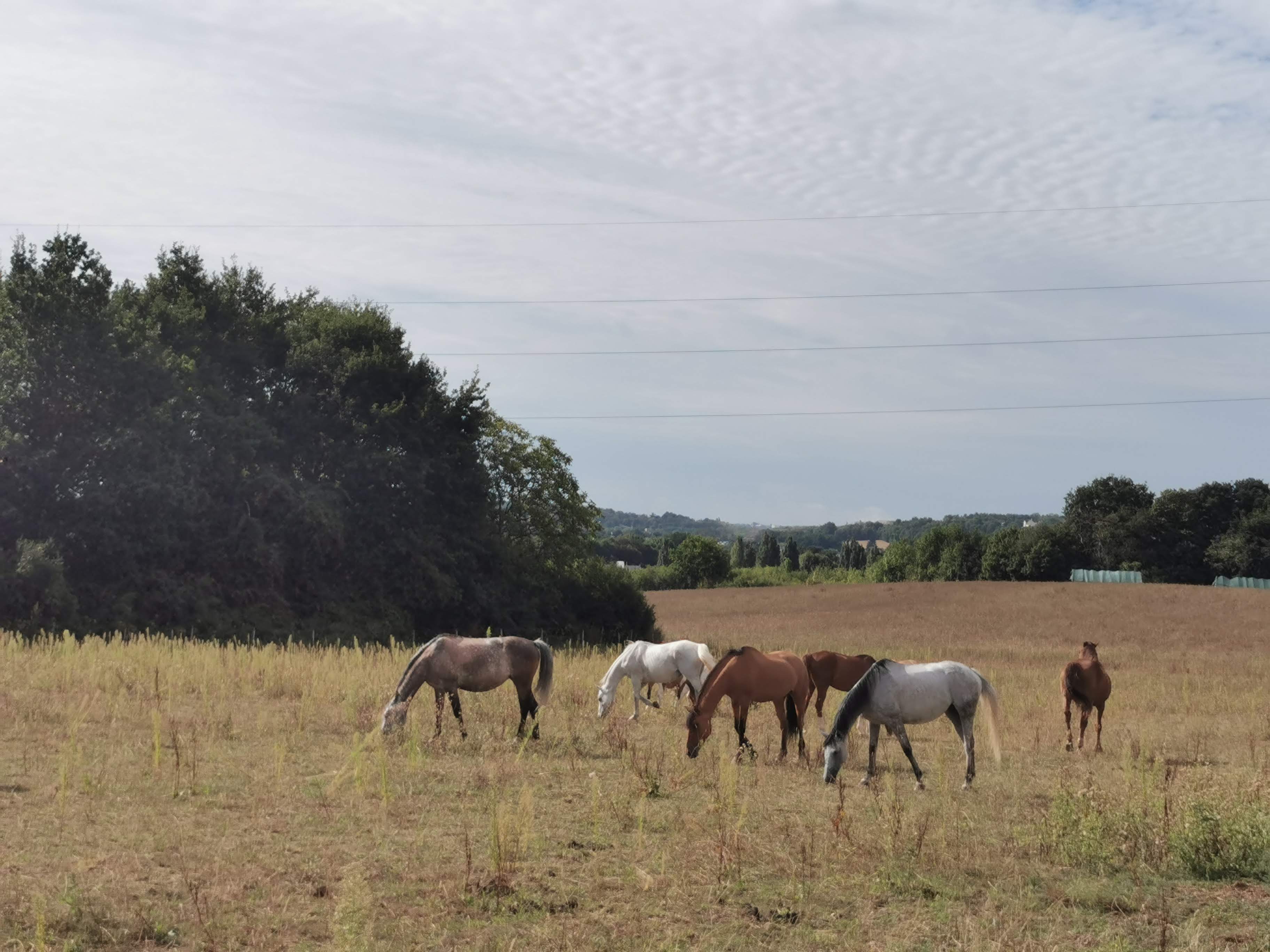Photo n° 3 de l'avis de Bruno.r fait le 23/08/2020 à 11:53