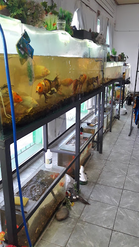 Acuario y Pet Shop - Guichón