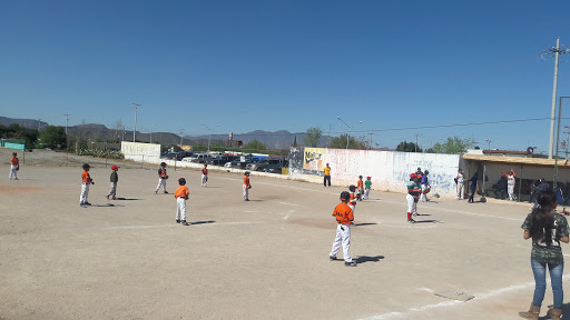 Parque de Béisbol Ramón Mendoza