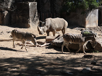 Zebra and Rhino Habitat