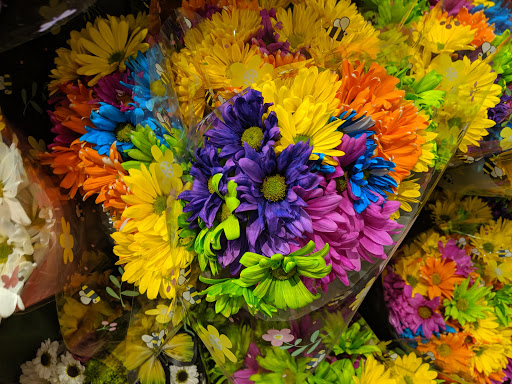 Grocery Store «Food Lion», reviews and photos, 198 Scottsville Center, Scottsville, VA 24590, USA