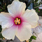 Photo n°3 de l'avis de Mo.i fait le 20/08/2020 à 20:33 sur le  Alpinhotel INzeller & Restaurant Zeitlos à Inzell