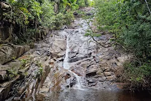 Sauzier Waterfall image