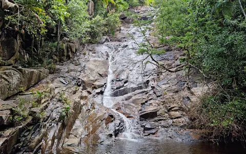 Sauzier Waterfall image