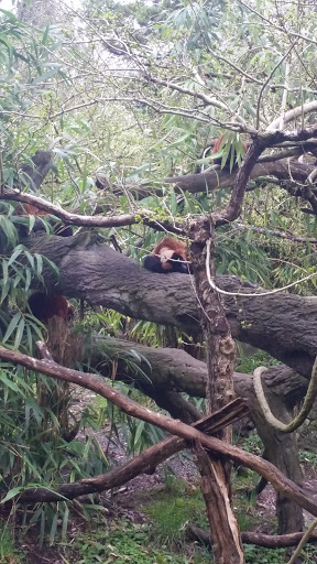 Zoo «Zoomazium», reviews and photos, 601 N 59th St, Seattle, WA 98103, USA