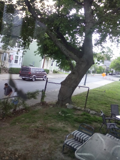 Park «Clasky Common Park», reviews and photos, Purchase St, New Bedford, MA 02740, USA