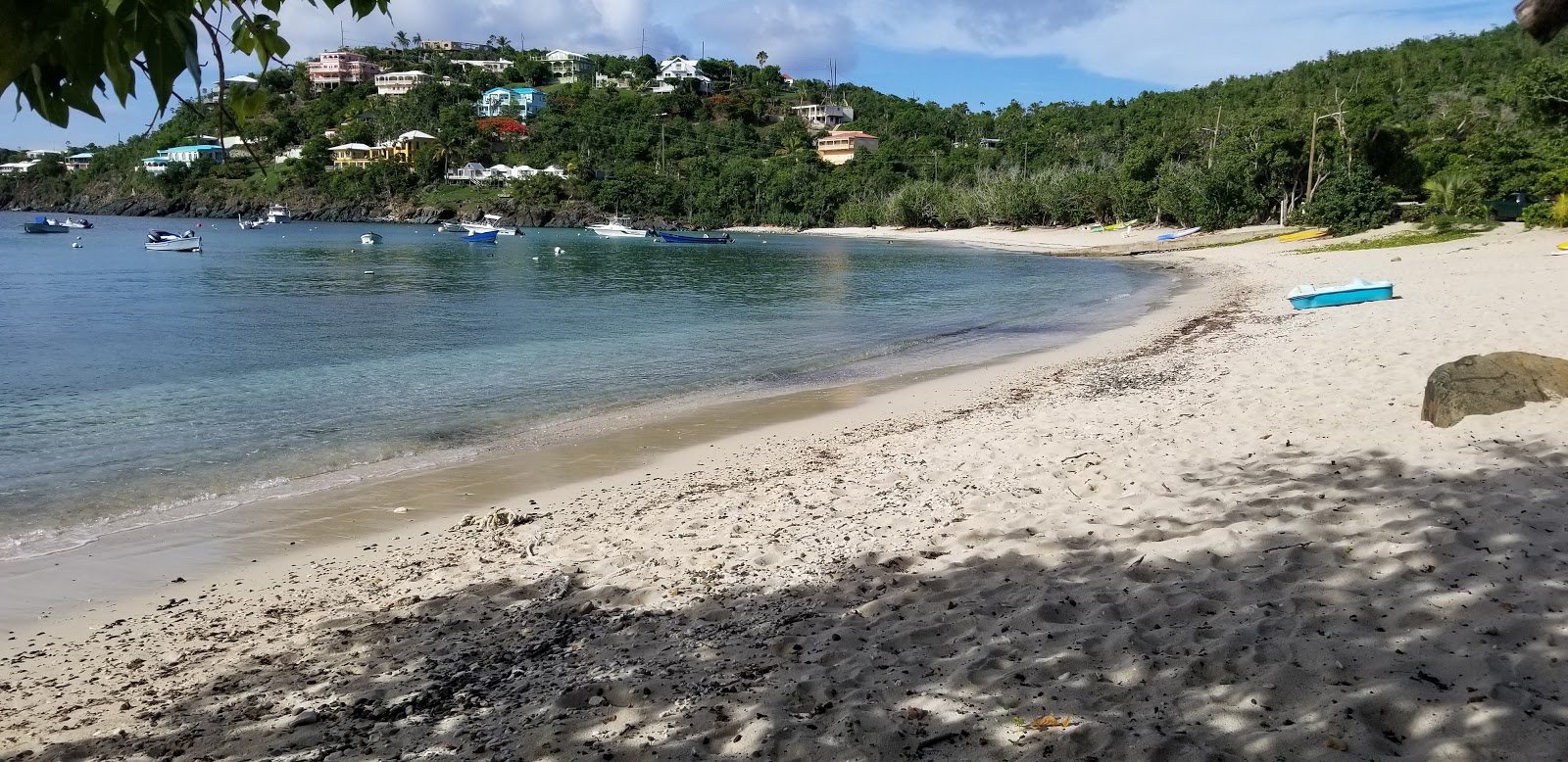 Fotografija Hull Bay beach z svetel pesek površino