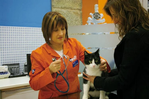 Clínica Veterinaria Nexo Ourense en Ourense