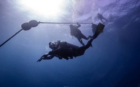 Scuba Public Diving Puerto Morelos image