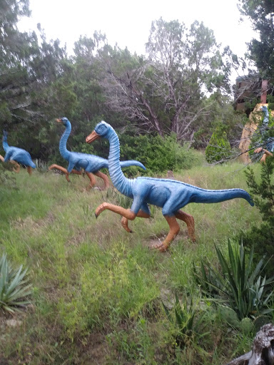 Museum «Dinosaur World», reviews and photos, 1058 Park Rd 59, Glen Rose, TX 76043, USA