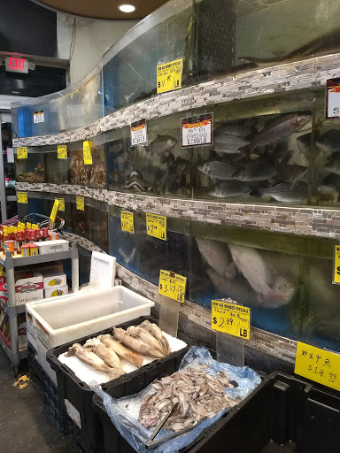 Supermarket «New Age Market», reviews and photos, 160-6 Northern Blvd, Flushing, NY 11358, USA